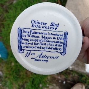 Chinese Bird From Adam's England bone chine tea cup